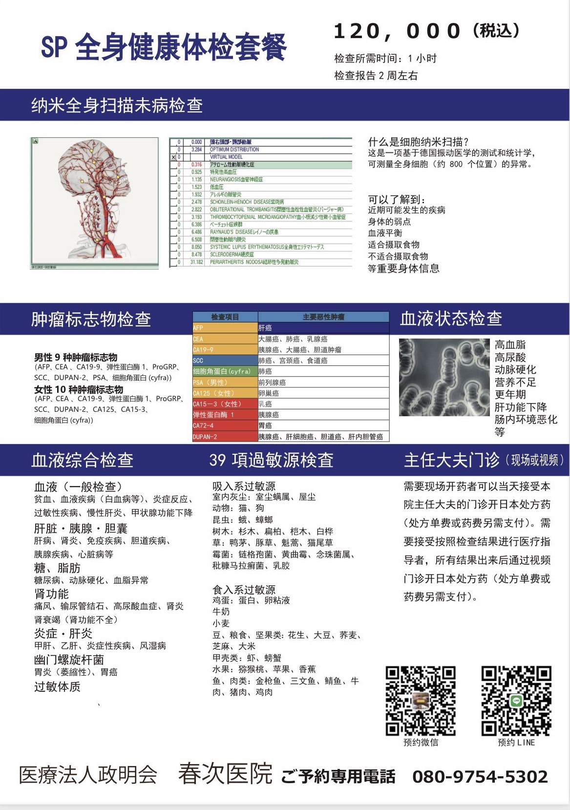 大阪侨领何玲青当选广东侨联第十二届海外委员：从五星村走向世界的“侨界传奇”